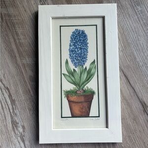 Framed Hyacinth Botanical Print